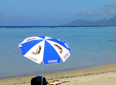 parasol